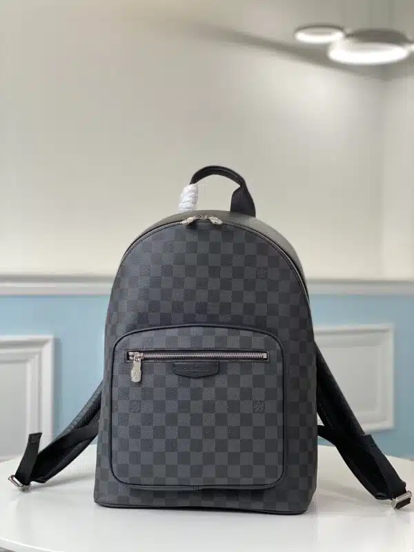 Louis vuitton Bag 6