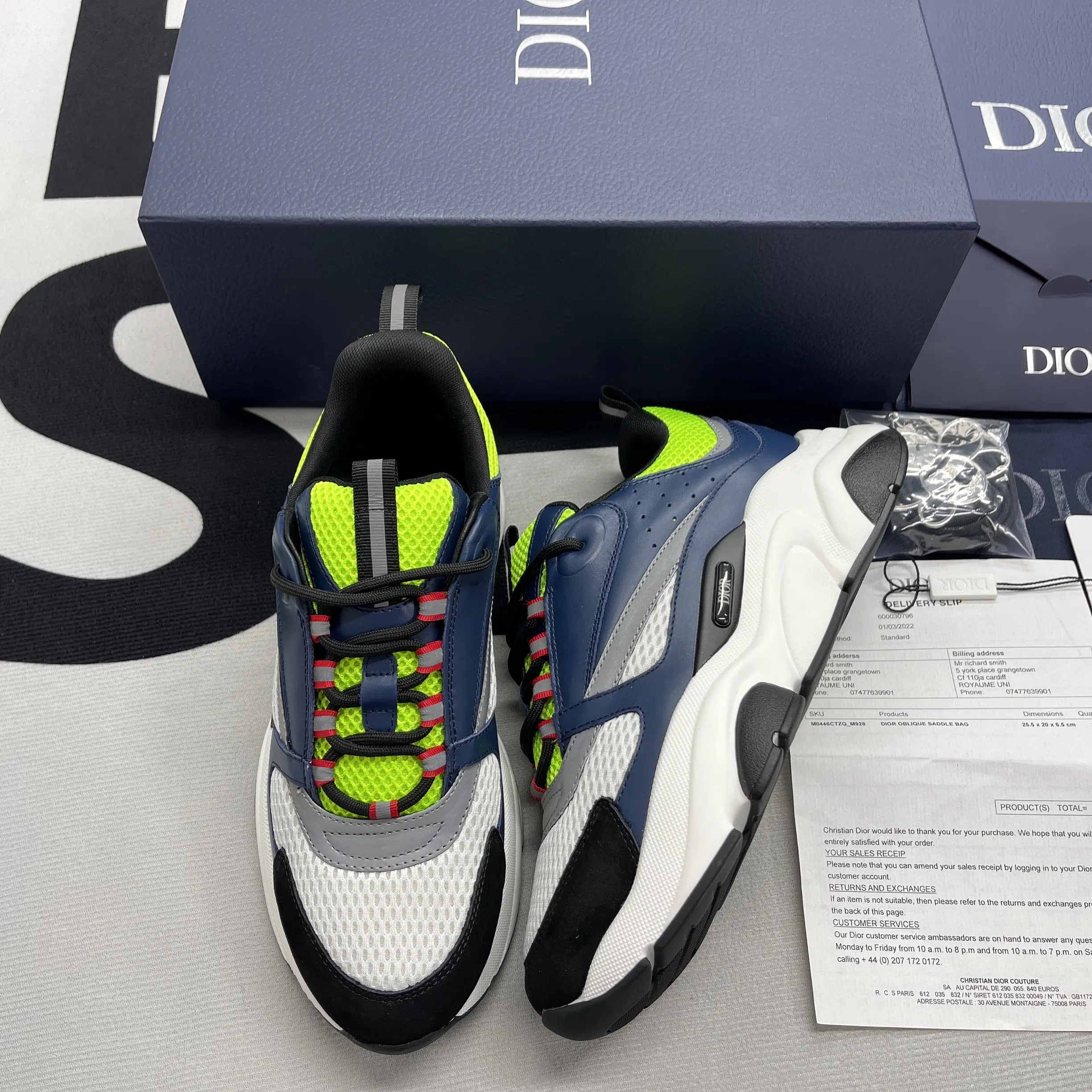 Dior B22 Low Sneaker (19)
