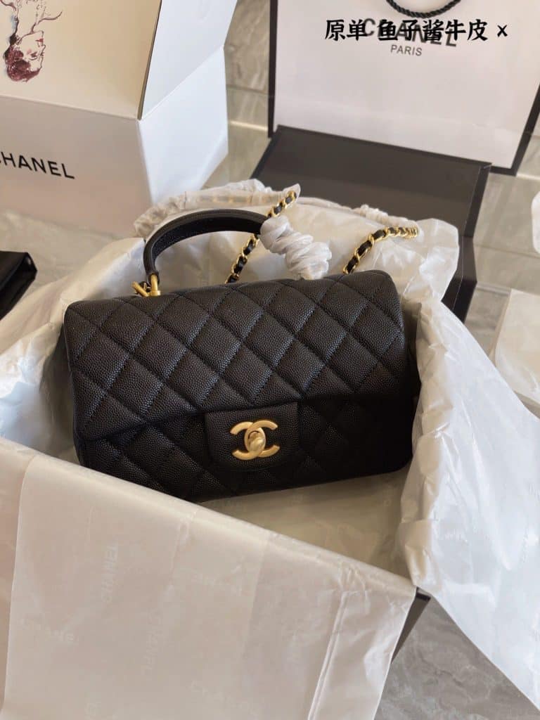 Chanel Bag  (51)