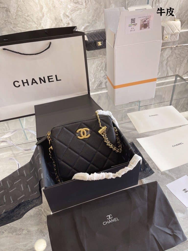 Chanel Bag  (49)