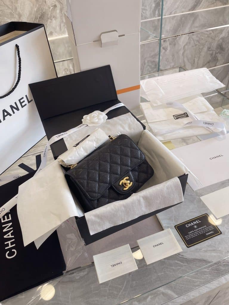 Chanel Bag  (47)