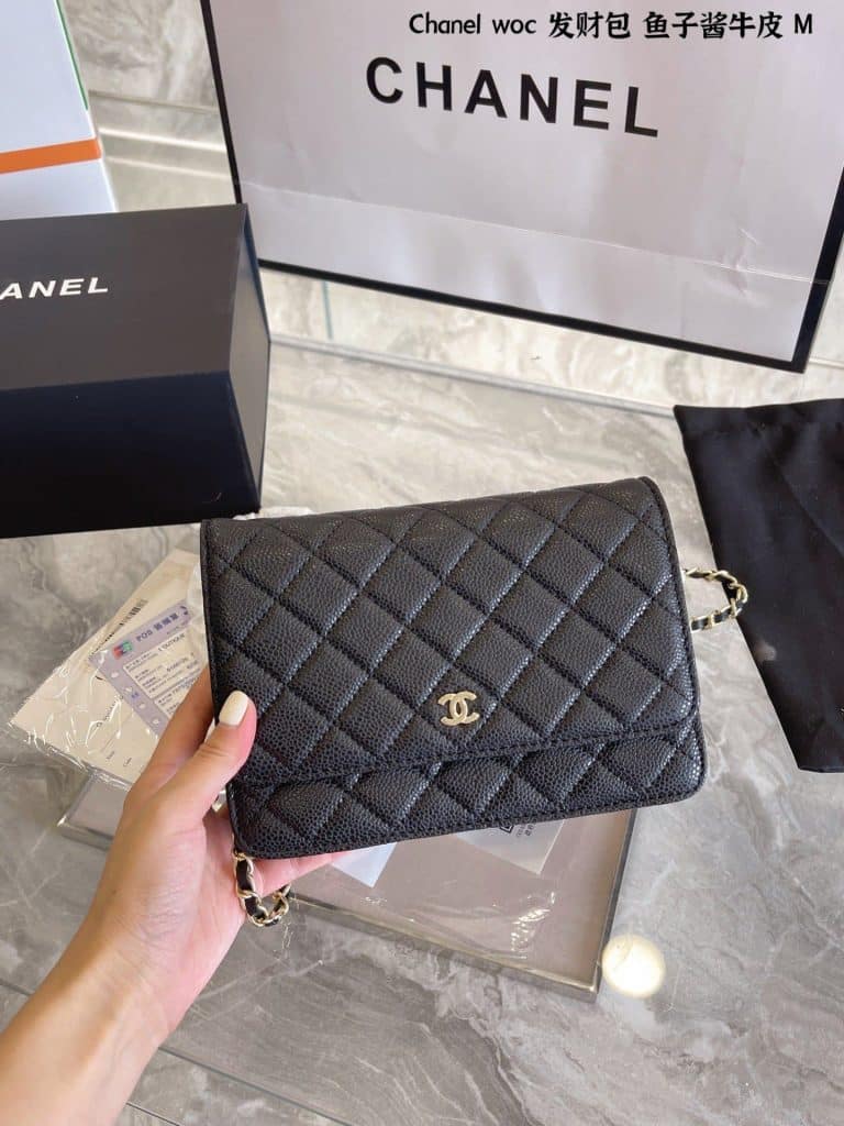 Chanel Bag  (41)