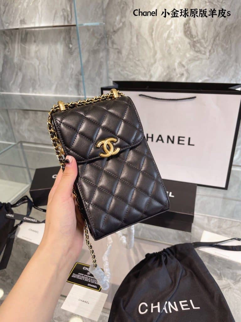 Chanel Bag  (38)