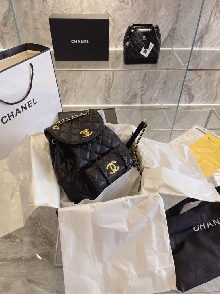 Chanel Bag  (34)