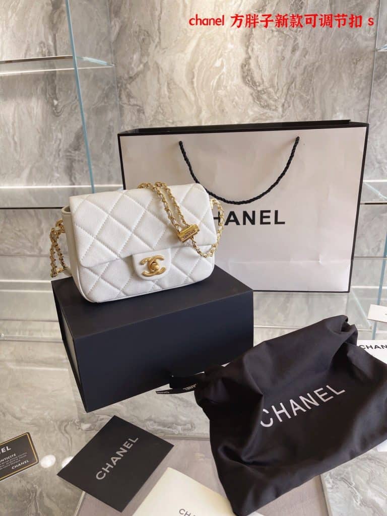 Chanel Bag  (29)