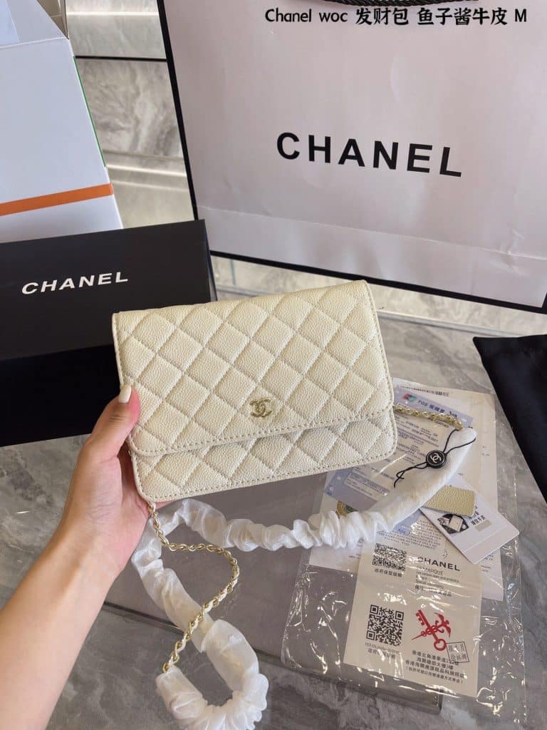 Chanel Bag  (26)