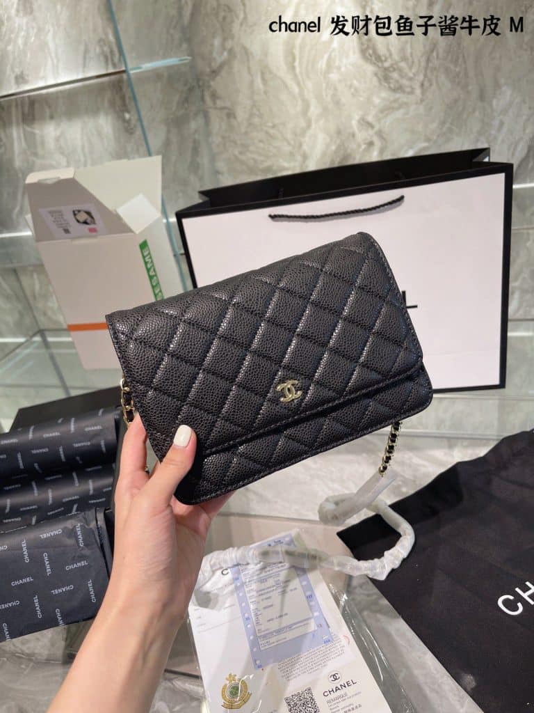 Chanel Bag  (25)