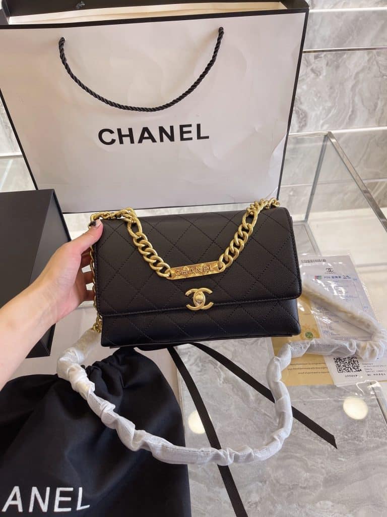 Chanel Bag  (20)