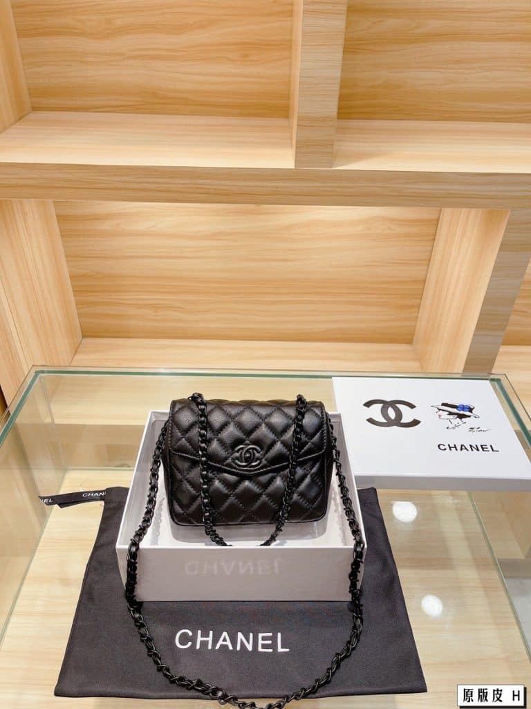 Chanel Bag  (19)