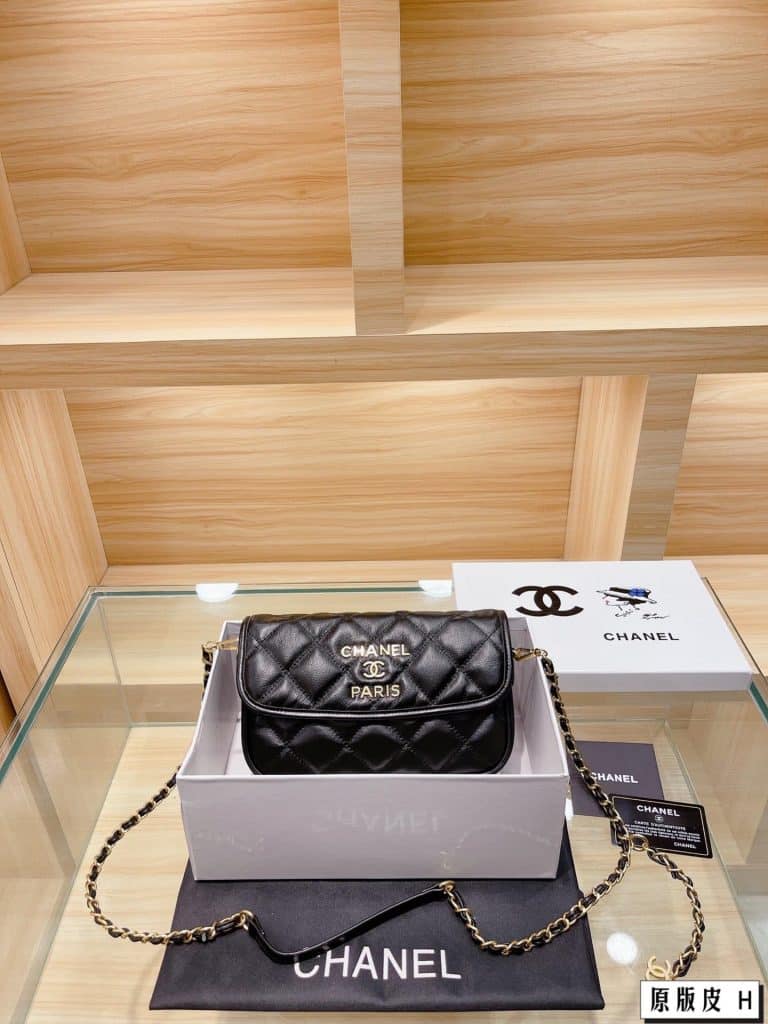 Chanel Bag  (13)