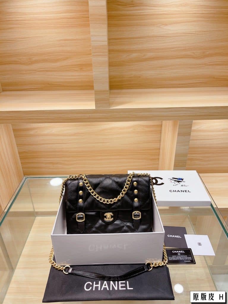 Chanel Bag  (12)