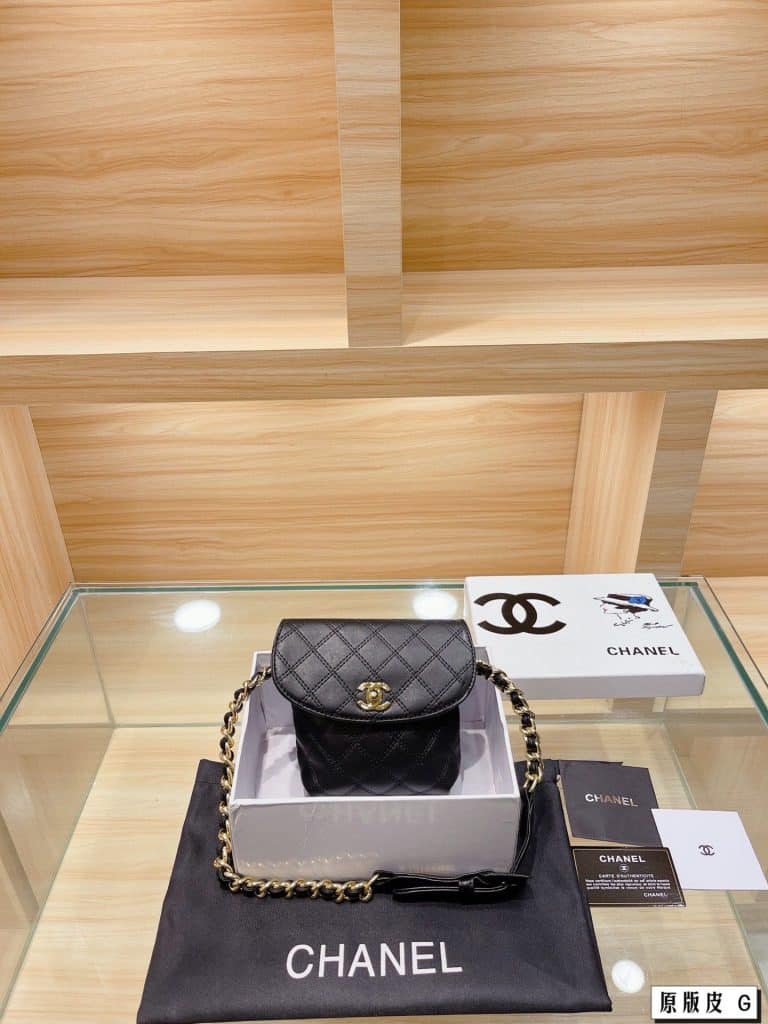 Chanel Bag  (11)