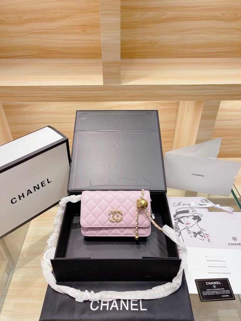 Chanel Bag  (9)