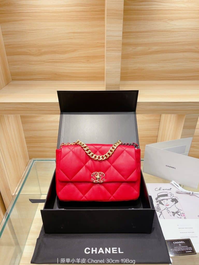 Chanel Bag  (5)