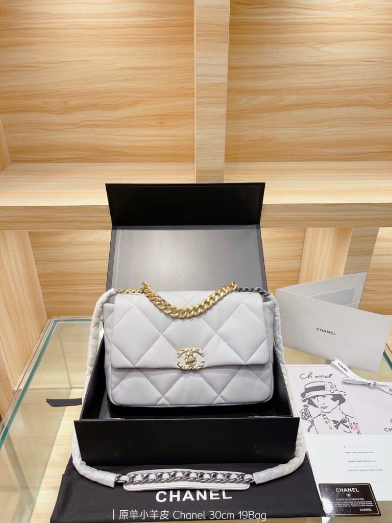 Chanel Bag  (6)