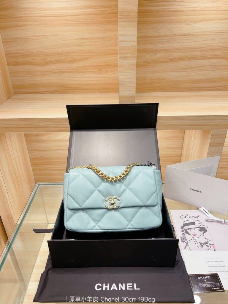 Chanel Bag  (1)