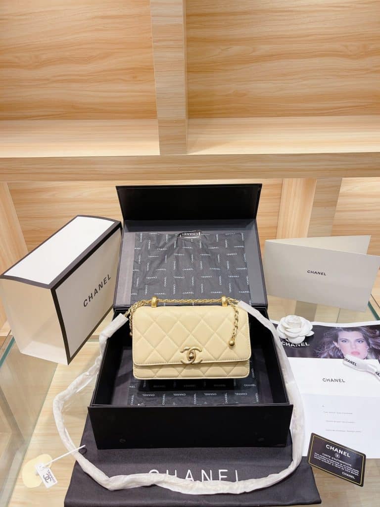 Chanel Bag  (2)