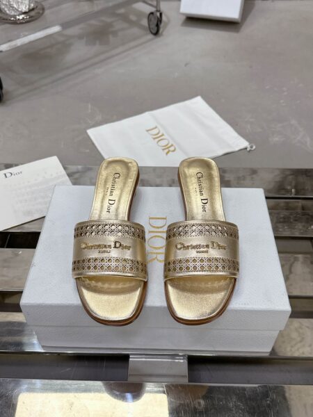 DIOR AND LEWIS HAMILTON