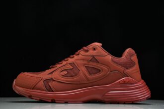 (BQ) Dior B CD