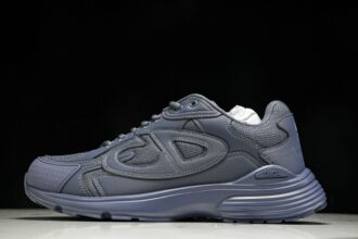 (BQ) Dior B CD